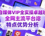 自媒体VIP全实操卓越班，全网主流平台特点优势分析