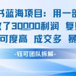 小红书蓝海项目，一部手机单月做了3W利润，小白也能月入过1W用户认可度高成交多