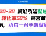日引 20-30 精准引流私域新玩法，转化率50% 高客单虚拟资料，小白一台手机就能做