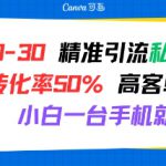 日引 20-30 精准引流私域新玩法，转化率50% 高客单虚拟资料，小白一台手机就能做