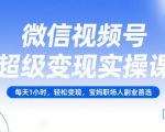 微信视频号超级变现实操课，每天1小时，轻松变现，宝妈职场人副业首选