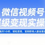 微信视频号超级变现实操课，每天1小时，轻松变现，宝妈职场人副业首选