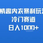 情趣内衣暴利玩法，冷门赛道，日入1k+