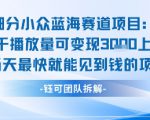 小众蓝海赛道项目：当天变现1k+适合新手操作 +适合长期玩
