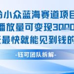 小众蓝海赛道项目：当天变现1k+适合新手操作 +适合长期玩
