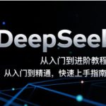 DeepSeek从入门到进阶教程，从入门到精通，快速上手指南