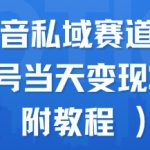 蓝海抖音私域赛道，实操单账号当天变现288+(附教程)