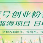视频号创业粉打法，日入1k，蓝海项目，市场需求大，全程无脑操作，可复制