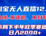 淘宝无人直播12.0，不封号，不违规，布局下半年旺季赛道，日入1k+(独家技术)【揭秘】