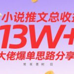 小说推文总收益13W+大佬爆单思路分享，常青树项目