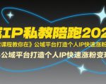 全域IP私教陪跑2025年，这套课程教你在​公域平台打造个人IP快速涨粉变现