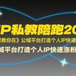 全域IP私教陪跑2025年，这套课程教你在​公域平台打造个人IP快速涨粉变现