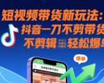 短视频带货新玩法：抖音一刀不剪带货，不剪辑，纯搬运，新手也能轻松爆单!