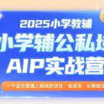 2025小学教辅公私域AIP实战营，一个适合普通人搞钱的项目，低成本，长期稳定