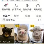 抖音65W博主AI萌宠课程，新赛道流量大，原创+二创，全套课程+提示词