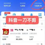 抖音短视频一刀不剪带货，不剪辑，不直播，每天发个视频，等着出单获取带货佣金