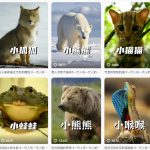 最新搞笑动物百科详细解说课程，蓝海赛道，流量非常大，轻松签独家进精选