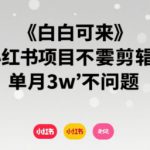 小白可来 小红书项目不需要剪辑 单月3w不是问题