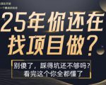 25年，你还在疯狂的找项目吗？别傻了，看完这个你都懂了【揭秘】