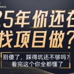 25年，你还在疯狂的找项目吗？别傻了，看完这个你都懂了【揭秘】