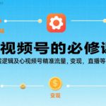 视频号的必修课，视频号的底层逻辑及核心视频号精准流量，变现，直播等核心