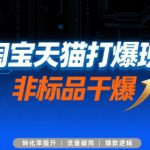 淘宝天猫打爆班原创高阶技术第72期，非标品干爆