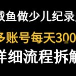 闲鱼卖纪录片1单3块钱  1天几十单