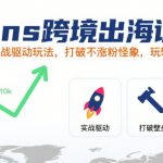 Ins跨境出海训练营，实战驱动玩法，打破不涨粉怪象，玩转社媒自然流量