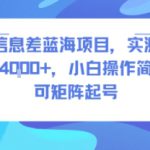 风口信息差蓝海项目，实测一天收益4k+，小白操作简单，可矩阵起号