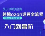 OZON入门到高阶全流程，从0-1助你出海，跨境ozon运营全流程