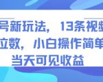 书单号新玩法，13条视频变现5位数，小白操作简单，当天可见收益
