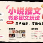 小说推文小红书多图文玩法，简单粗暴，万播收益3张