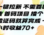 一键拉新 不需要回传 首码项目 接个验证码就算完成 一小时收益70+【揭秘】