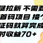 一键拉新 不需要回传 首码项目 接个验证码就算完成 一小时收益70+【揭秘】