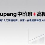 Coupang中阶班+高阶班，0到1入门跨境电商，在家一台电脑挣韩国人的钱