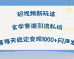 短视频新玩法玄学赛道引流私域单号每天稳定变现1k+闷声发财