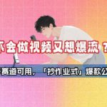 不会做视频又想爆流？多赛道可用，「抄作业式」爆款公式