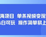8月AI蓝海项目，单条视频变现1k+ 小白可玩 操作简单易上手