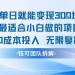 单日就能变现3张最适合小白做的项目0成本投入 无限复制