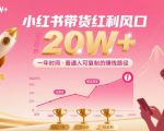 一年时间靠小红书带货项目年入20w+，最不能错的大红利项目