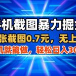 手机截图暴力掘金，两张截图0.7米，一部手机就能做，轻松日入3张+【揭秘】