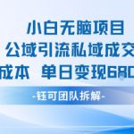 小白无脑项目公域引流私域成交0成本单日变现680米