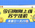 苏宁全自动采集挂G项目 稳定可批量 单窗口收益30+ 附教程【揭秘】