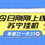 苏宁全自动采集挂G项目 稳定可批量 单窗口收益30+ 附教程【揭秘】