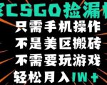 CSGO自动捡漏项目，最新独家玩法，不是美区搬砖，不需要了解和玩游戏，新手小白轻松月入1W+【揭秘】