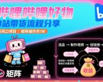 哔哩哔哩好物，B站带货流程分享，新风口项目，矩阵操作月1W
