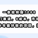 一条视频挣1k，小众冷门赛道，0成本，市场需求大，是未来半年最好做的项目，没有之一