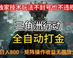 三角洲最新全自动G机，独家技术玩法，不封号也不违规， 日入8张+可矩阵操作，收益无限放大【揭秘】