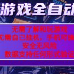 游戏全自动捡漏项目，最新独家玩法，每天操作几十分钟，无任何难度，当天见收益【揭秘】