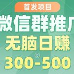 首发项目，微信群推广，一天15单，每单利润10米，无脑日入3-5张【揭秘】